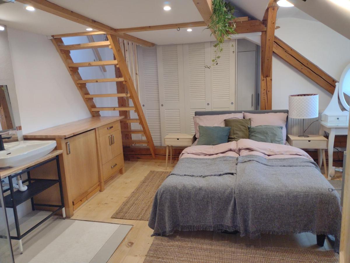 Studio Blizko Centra, Zilinska 20 Bratislava Exteriör bild